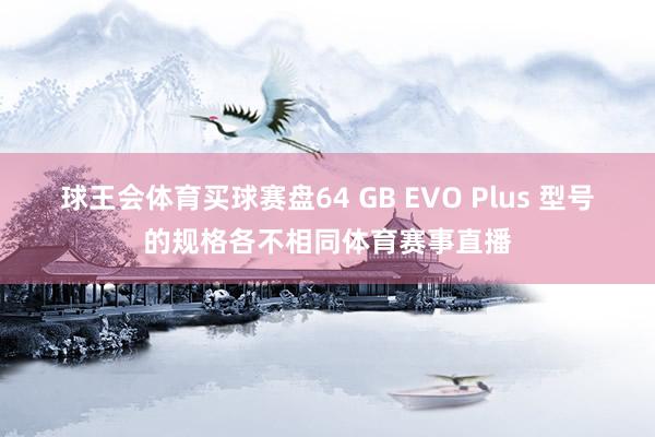 球王会体育买球赛盘64 GB EVO Plus 型号的规格各不相同体育赛事直播