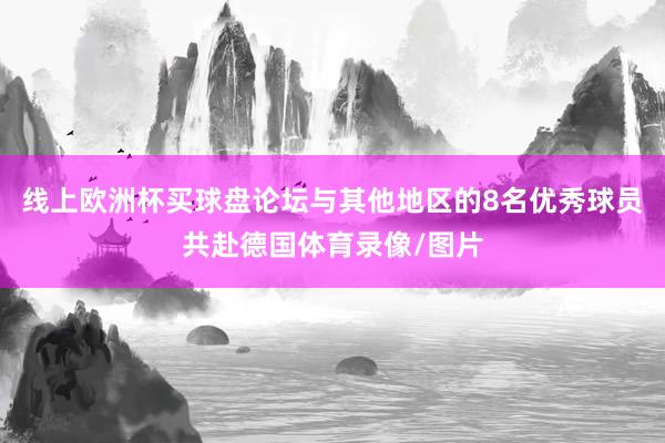 线上欧洲杯买球盘论坛与其他地区的8名优秀球员共赴德国体育录像/图片