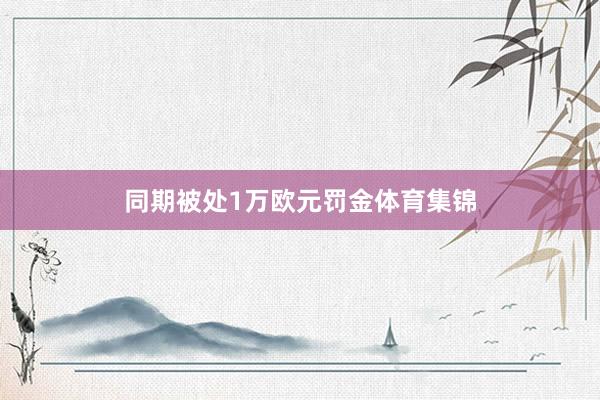 同期被处1万欧元罚金体育集锦